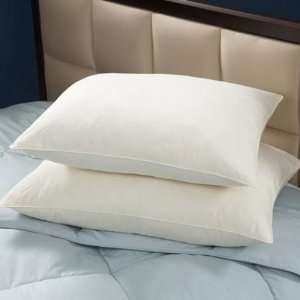  Feather And Down Blend King Soft Pillow   35oz