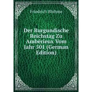   Vom Jahr 501 (German Edition) (9785874184162): Friedrich Bluhme: Books