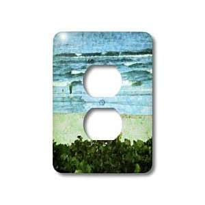   Sea Grapes At Boca Raton   Light Switch Covers   2 plug outlet cover