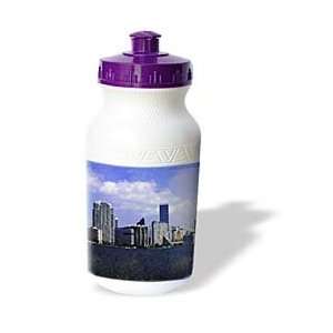  Sandy Mertens Florida   Miami Skyline   Water Bottles 