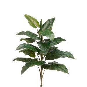  27.5 EVA Large Philodendron Plant Green (Pack of 12): Home 