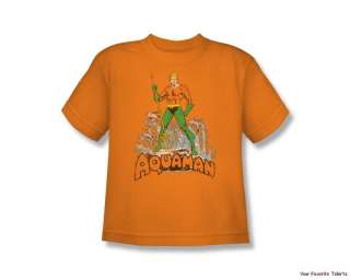 Licensed DC Comics Aquaman Distressed Youth Shirt S XL  