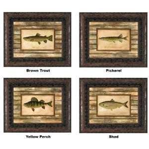 International Arts Brown Trout, Pickerel, Yellow Perch, & Shad Framed 