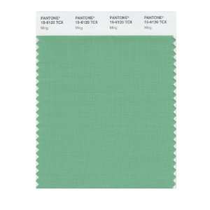  PANTONE SMART 15 6120X Color Swatch Card, Ming: Home 