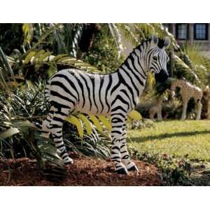  Zairen, theBaby Zebra Sculpture: Patio, Lawn & Garden