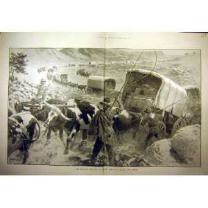  1900 Bullers Transport Wagon Veldt Africa Boer War