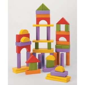  IQ Preschool 50 Unit Buncha Blocks in Color Toys & Games