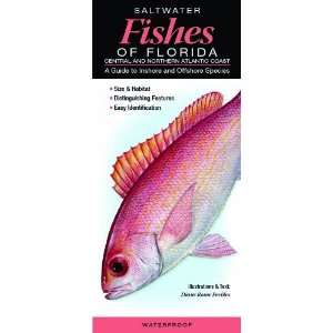  Saltwater Fishes of Florida Central and Northern Atlantic 