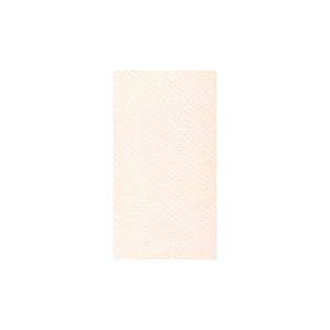  Canson Mi Teintes Tinted Paper dawn pink 19 in. x 25 in 