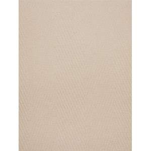  Scalamandre Sahara   Panna Fabric: Home & Kitchen