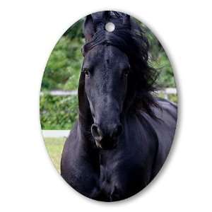  Friesian Pets Oval Ornament by CafePress: Home & Kitchen