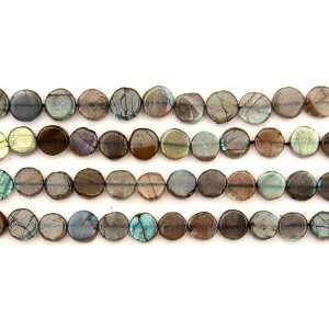  Labradorite Coins  : Everything Else