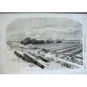   Agricultural Show At Chelmsford Essex 1856 Old Print
