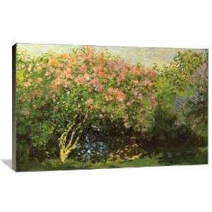   Gallery Wrapped Canvas   Museum Quality  Size 48 x 32 by Claude