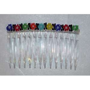    2 Multi Colored Beaded Flowers on 3 Clear Hair Comb Beauty