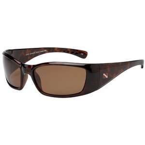   CanCun II Tortoise Frame Style DS16 1602T: Sports & Outdoors