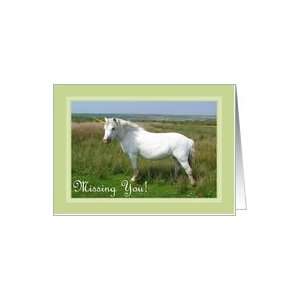 Missing You   Unicorn, Green Frame Card Health & Personal 