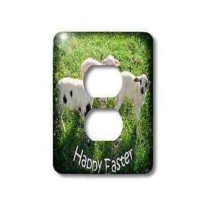 Taiche   Photography   Sheep   Happy Easter   easter, animal, ewe 