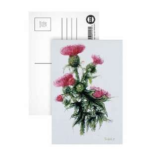 Scottish thistle by Nell Hill   Postcard (Pack of 8)   6x4 inch 