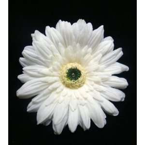  White Real Touch Daisy Hair Flower Clip Beauty
