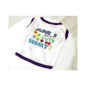   Purple Trim Am I Cute or What? Dog Shirt (Small): Kitchen & Dining