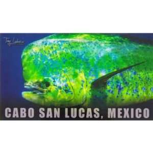    Pelagic Magnet   Cabo San Lucas, Mexico   Mahi: Sports & Outdoors