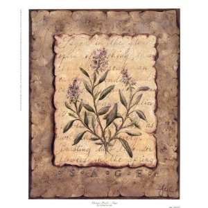  Vintage Herbs Sage Poster by Constance Lael (9.00 x 11.00 