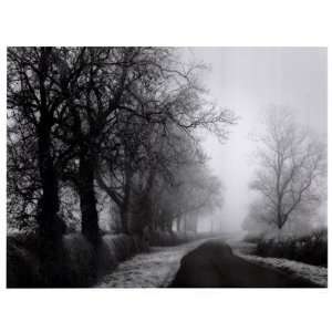   Tree Lined Road Finest LAMINATED Print Stephen Rutherford Bate 25x19