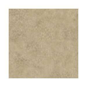   Texture Taupe Wallpaper in Global Destinations: Home Improvement