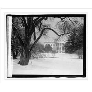  Historic Print (L): White House, 3/7/23: Home & Kitchen