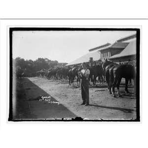  Historic Print (L): U.S. Army corral, 15th Cavalry: Home 