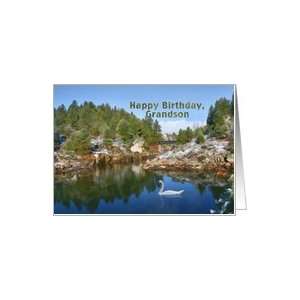  Birthday, Grandson, Mountain Lake, Swan, Reflections Card 