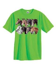 English Dressage Rider Horses T Shirt S 6x Choose Color  