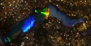 Koroit Boulder Opal Pendant   Bright Fire  