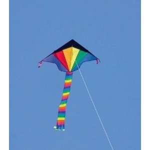 Eco Line Simple Flyer Rainbow Kite 