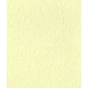  Pale Yellow Fleece Fabric Arts, Crafts & Sewing