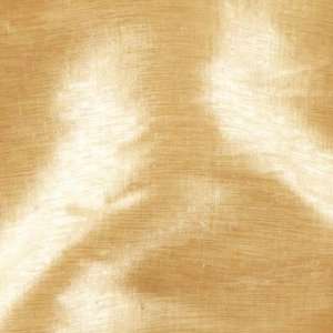  54 Wide Shimmering Silk Blend Matka Beige Fabric By The 