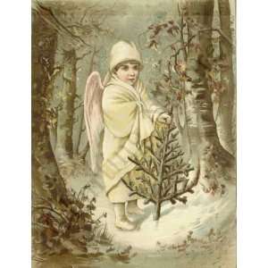  Botanical Victorian Print Angel Boy