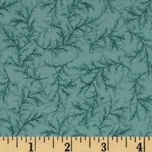  44 Wide Moda Fruitcake Feathers Avalanche Teal Fabric By 