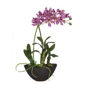  Mini Vanda w/Black Vase Silk Flower Arrangement: Home 