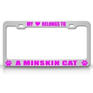  MY HEART BELONGS TO A MINSKIN Cat Pet Auto License Plate 