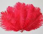   12 14 Red Ostrich Drab Plume Feathers Wedding decoration, Millinery