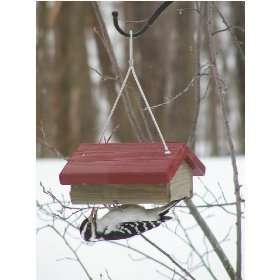 Upside Down Suet Bird Feeder Red or Green Roof Woodpecker Chickadee 