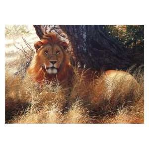  Lion in the Shade 1000 Piece Mini Puzzle Toys & Games