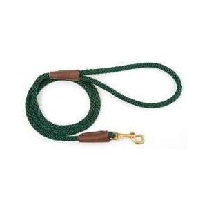  Mendota Dog Snap Leash   3/8 width   Green