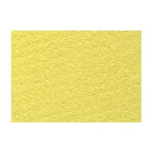  Canson Mi Teintes Pastel Paper   10 Pack 19x25   Anise 
