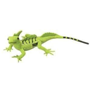  Lizard 10 (National Geographic) Toys & Games