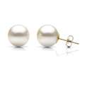 DaVonna 14k Gold Akoya Cultured Pearl Earrings (8 8.5 mm) Today 