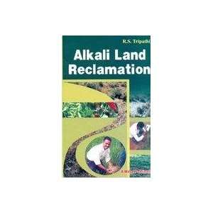  Alkali Land Reclamation A Boom For Development 