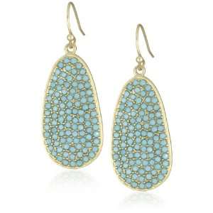 Flying Lizard Designs Turquoise Crystals Oval Drop Earrings